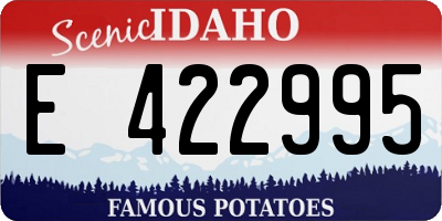 ID license plate E422995