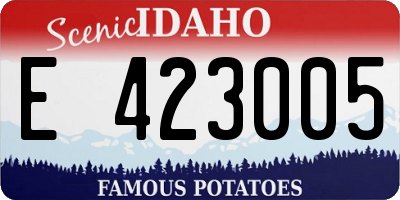 ID license plate E423005
