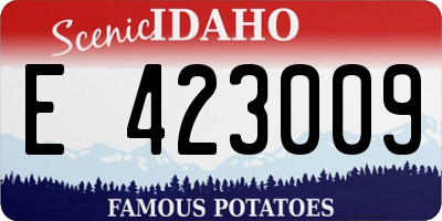 ID license plate E423009
