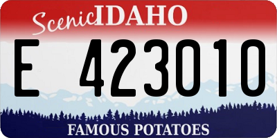 ID license plate E423010
