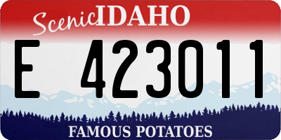 ID license plate E423011