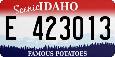 ID license plate E423013