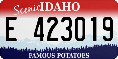 ID license plate E423019