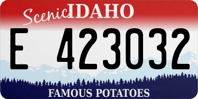 ID license plate E423032