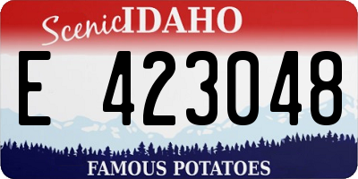 ID license plate E423048