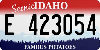 ID license plate E423054