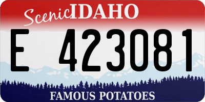 ID license plate E423081