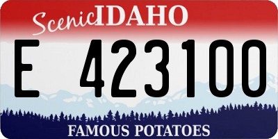 ID license plate E423100