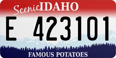 ID license plate E423101