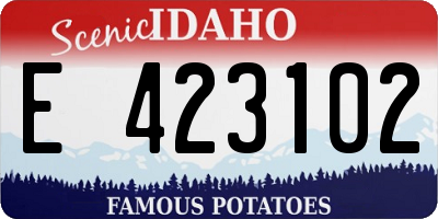 ID license plate E423102