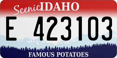 ID license plate E423103