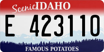 ID license plate E423110