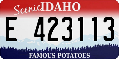 ID license plate E423113