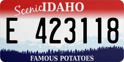 ID license plate E423118