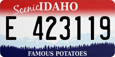 ID license plate E423119
