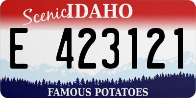 ID license plate E423121