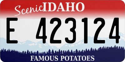 ID license plate E423124