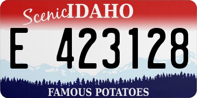 ID license plate E423128