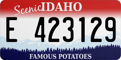 ID license plate E423129