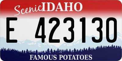 ID license plate E423130