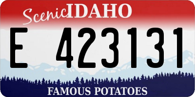 ID license plate E423131