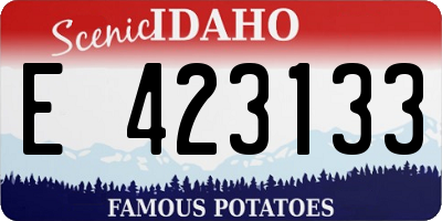 ID license plate E423133