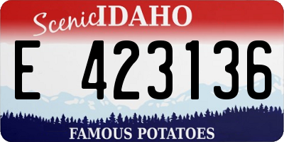 ID license plate E423136