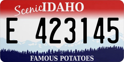 ID license plate E423145