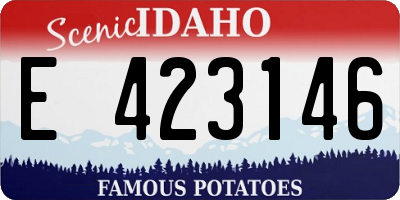ID license plate E423146
