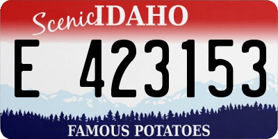 ID license plate E423153