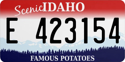 ID license plate E423154