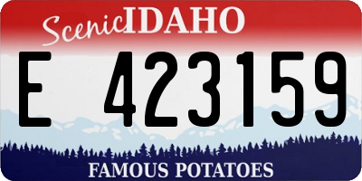ID license plate E423159