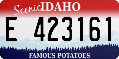 ID license plate E423161