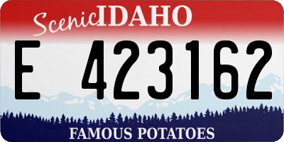 ID license plate E423162