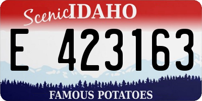 ID license plate E423163
