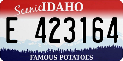 ID license plate E423164