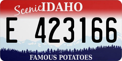 ID license plate E423166