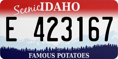 ID license plate E423167