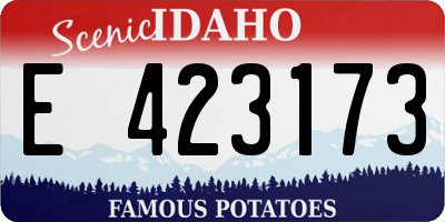 ID license plate E423173