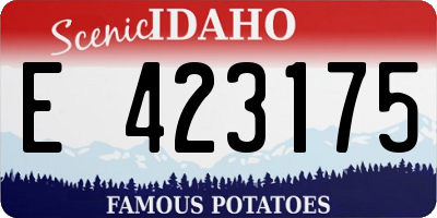 ID license plate E423175