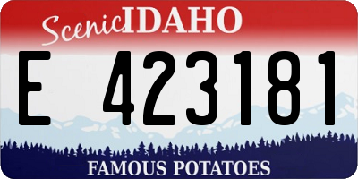 ID license plate E423181