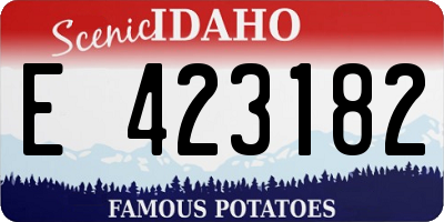 ID license plate E423182