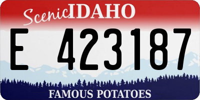 ID license plate E423187