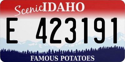 ID license plate E423191
