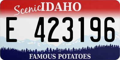 ID license plate E423196