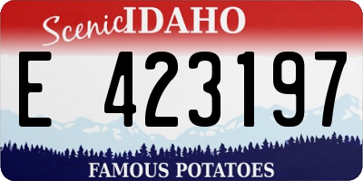 ID license plate E423197