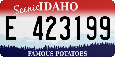 ID license plate E423199