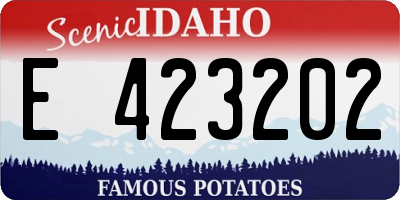 ID license plate E423202