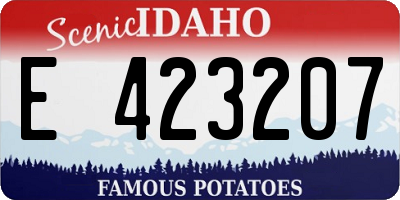 ID license plate E423207