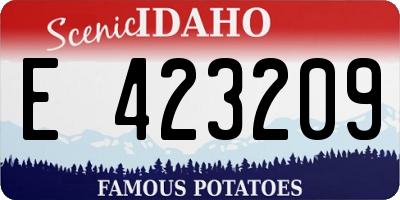 ID license plate E423209